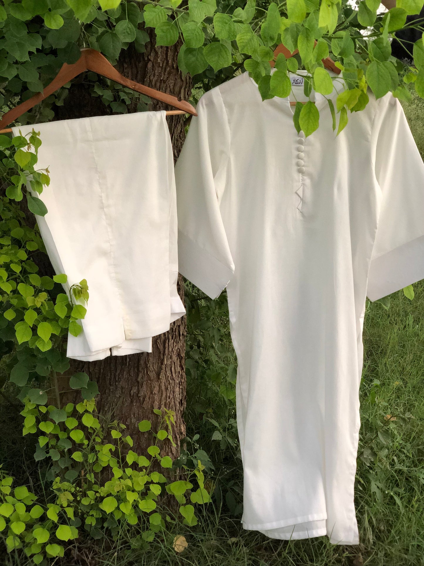 White shirts hanging on a tree branch with green leaves